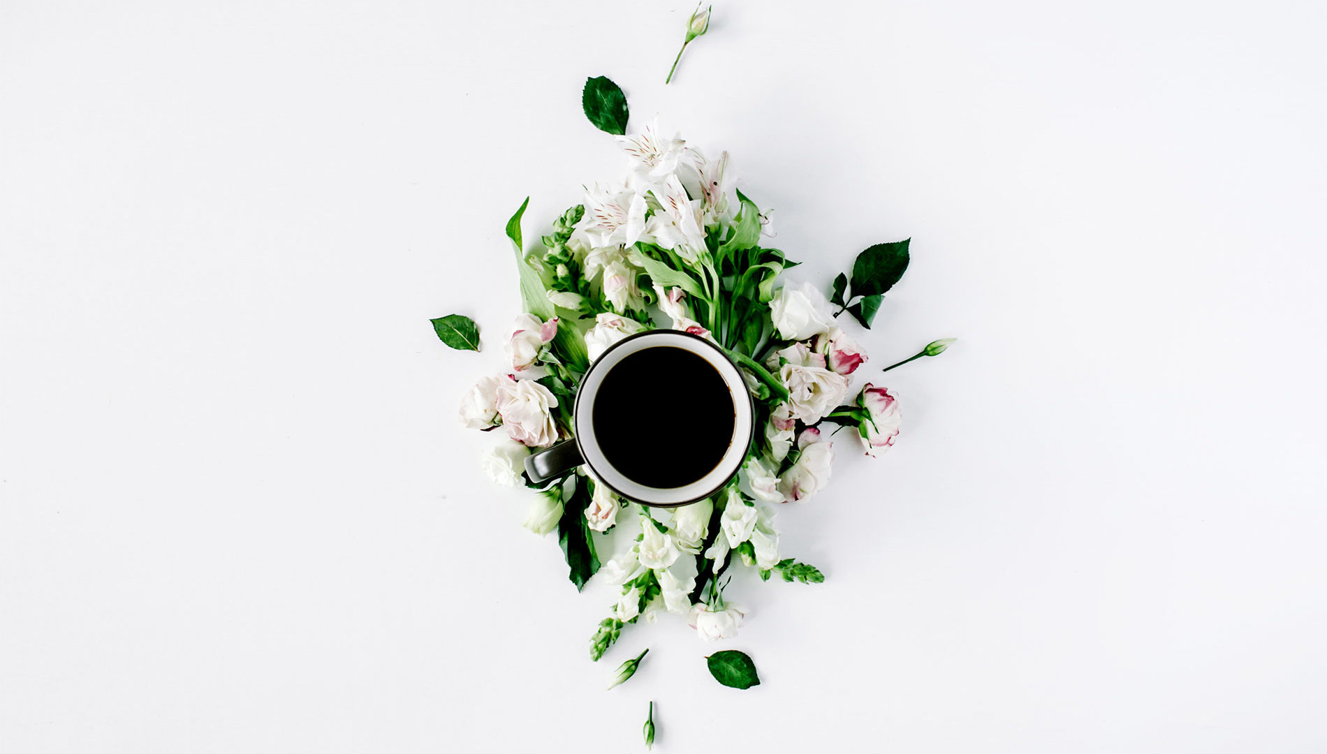 GPL3 License  advantages