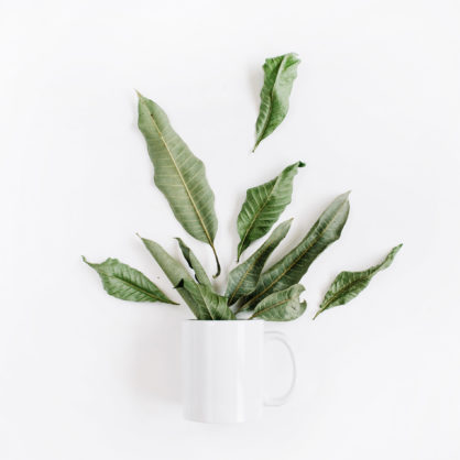 Flexible and Multipurpose